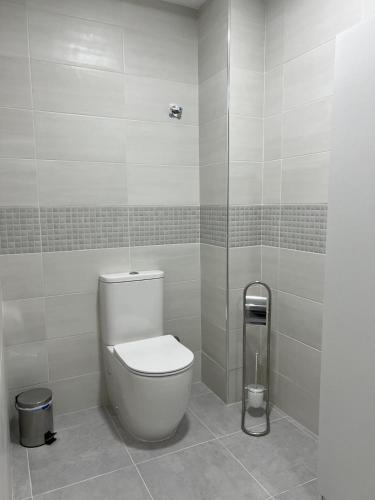 a bathroom with a toilet and a shower at Rosal Central Studios in Oviedo