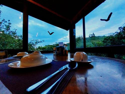 Belcruz family lodge في مونتيفيردي كوستاريكا: طاولة عليها صحون وأواني على طاولة مطلة على الطيور