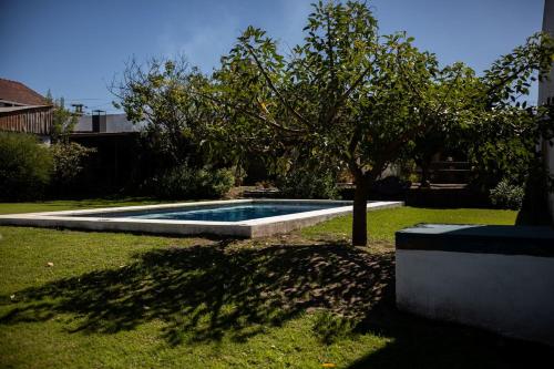 Bazén v ubytování Topohouse nebo v jeho okolí