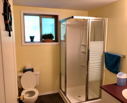 a bathroom with a shower and a toilet and a window at Gabriola Island B&B By The Sea in Gabriola