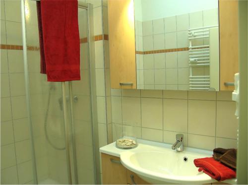 a bathroom with a shower and a sink and a mirror at Eisvogel Classic 302 in Granzow