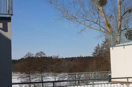a snow covered field with a fence and a tree at Strandläufer Classic 212 in Granzow