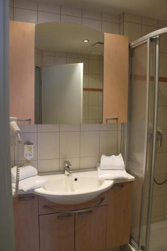 a bathroom with a sink and a shower at Strandläufer Classic 212 in Granzow