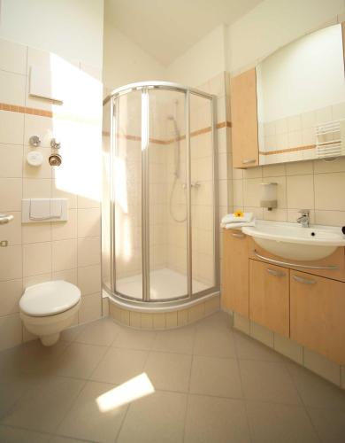 a bathroom with a shower and a toilet and a sink at Strandläufer Classic 215 in Granzow