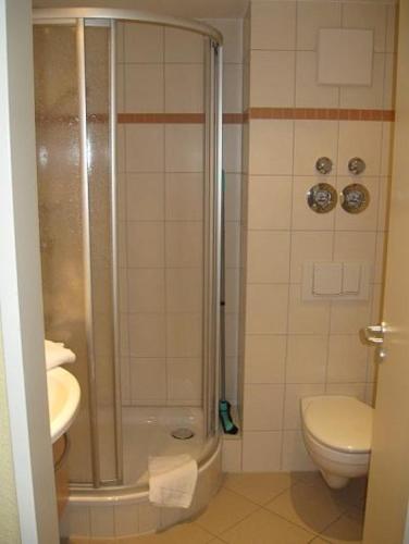 a bathroom with a shower and a toilet and a sink at Schneeeule 225 in Granzow