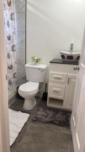 uma casa de banho com um WC branco e um lavatório. em Lemmyalplace em Georgetown