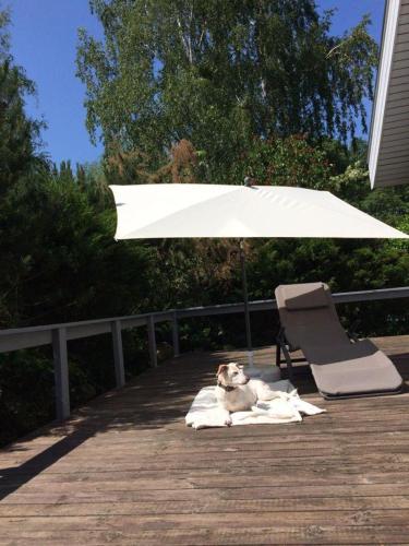 a dog laying on a blanket under an umbrella at Wildgans 87 in Mirow