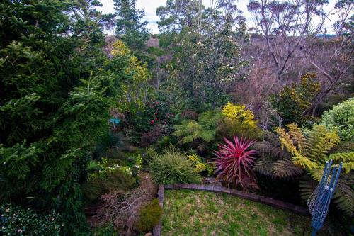 a garden with many different types of plants at Big quiet enclave amazing views in Wentworth Falls