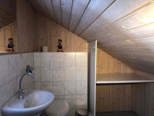 a bathroom with a sink and a toilet at Wildgans 41 in Mirow