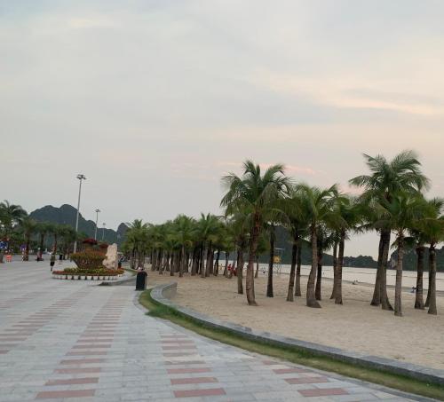 a row of palm trees on a sandy beach at MIMOSA HOTEL in Ha Long
