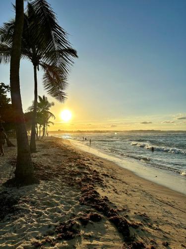 a beach with palm trees and the ocean at sunset at Le Havre de L'Autre Bord ! in Le Moule