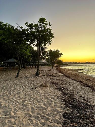 a beach with trees and the ocean at sunset at Le Havre de L'Autre Bord ! in Le Moule