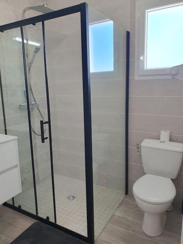 La salle de bains est pourvue de toilettes et d'une cabine de douche en verre. dans l'établissement Studio cosy maison neuve Rodger, à Médis