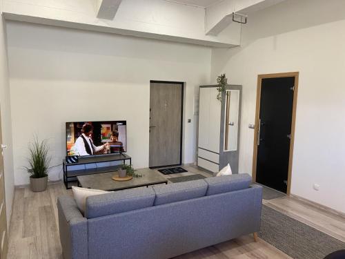AudruにあるAUDRU APARTMENT Newly renovated apartment with SAUNA, near Audru Golfのリビングルーム(青いソファ、テレビ付)