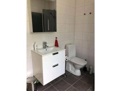 a bathroom with a toilet and a sink and a mirror at House Sjötorp Comfortable holiday residence in Hjältevad