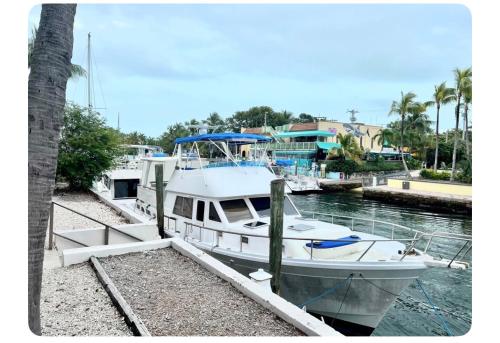 a white boat is docked at a dock at YACHT OF MY DREAMS in Key Largo
