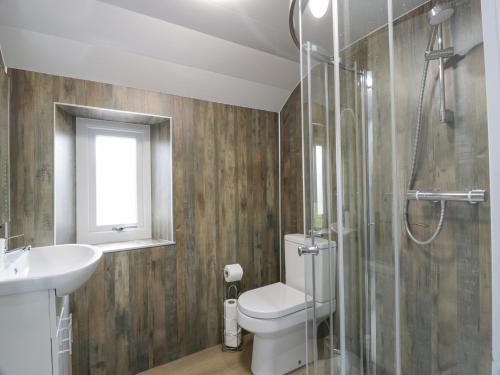 La salle de bains est pourvue de toilettes, d'un lavabo et d'une douche. dans l'établissement Little Ireland, à Stranraer