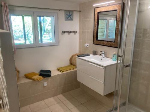 La salle de bains est pourvue d'un lavabo, d'un miroir et d'une douche. dans l'établissement Un jardin dans la ville, à La Ciotat