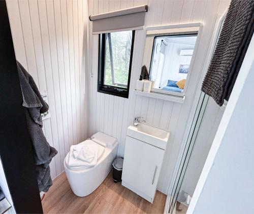 a small bathroom with a toilet and a mirror at Binderaga Pine Forest in Bilpin