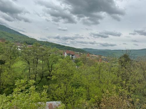 a house in the middle of a forest of trees at ЕЛІТ in Svalyava