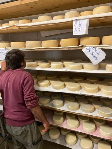 a man standing in front of shelves of cheese at LA GINESTRA B&B in Fosdinovo
