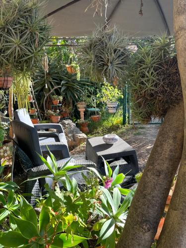 a garden with a bunch of chairs and plants at MAISON indépendante VUE MER au cœur de la NATURE in Toulon