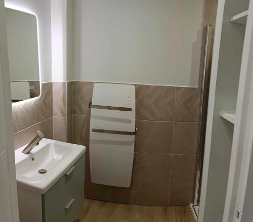 ein kleines Badezimmer mit Waschbecken und Spiegel in der Unterkunft aux nids douillets mayetois "les tourtereaux" in Mayet-de-Montagne