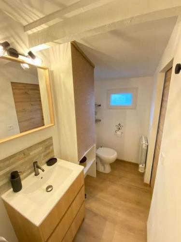 une salle de bain avec un lavabo blanc et des toilettes dans l'établissement La petite escal', à Dannemois