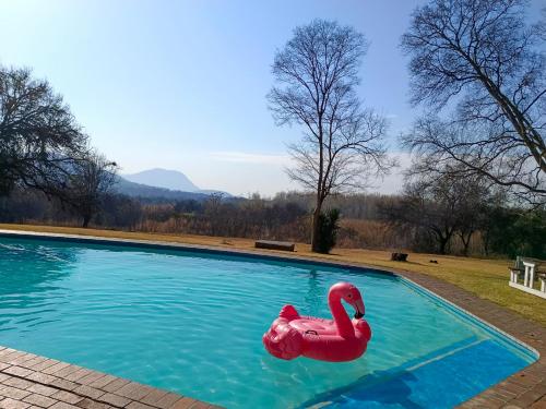 Kolam renang di atau dekat dengan The Venue Country Hotel & Spa