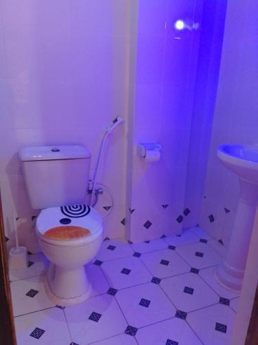 a bathroom with a toilet and a shower at Blessing Holiday Homes - Diani Beach in Diani Beach