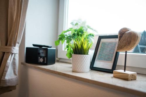 a window sill with a picture and a microwave and a plant at Doppelzimmer 3 - neu renoviert in Dinkelsbühl