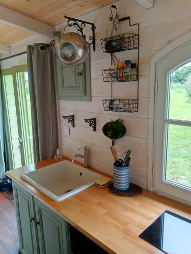 une cuisine avec un évier et un plan de travail dans l'établissement Roulotte Karlotte, à Pernes-les-Fontaines