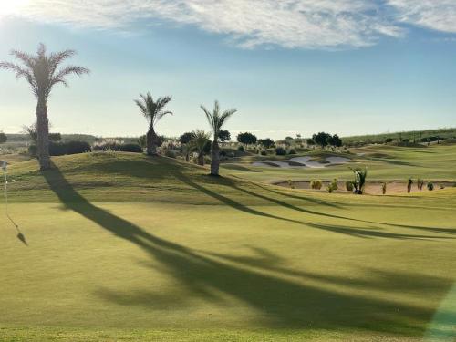 a shadow of a palm tree on a golf course at Casita Stam Orihuela in Orihuela