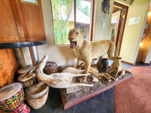 a dog standing on top of a table with antlers at Ditholo Game Lodge Bela Bela in Bela-Bela
