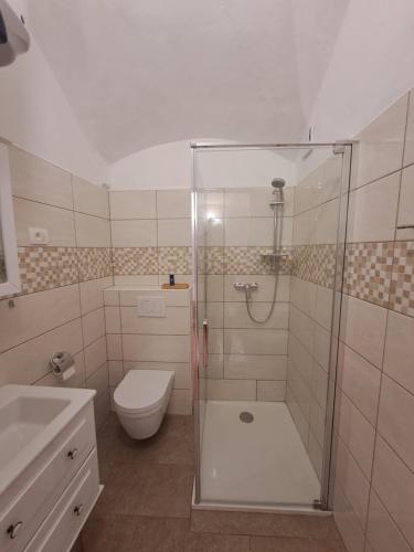 een badkamer met een douche, een toilet en een wastafel bij Grad Tuštanj in Moravče