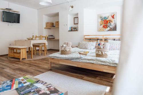 TV a/nebo společenská místnost v ubytování Apartma Roner