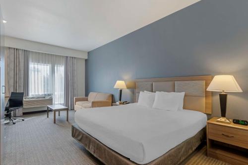 ナンパにあるBest Western Plus Peppertree Nampa Civic Center Innの大きなベッドとデスクが備わるホテルルームです。
