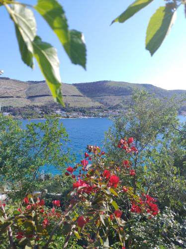 a view of a body of water with red flowers at Direkt na moru - Bungalov in Šibenik