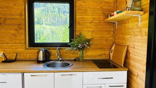 eine Küche mit einem Waschbecken und einem Fenster in der Unterkunft Cozy chalet in Mestia in Mestia