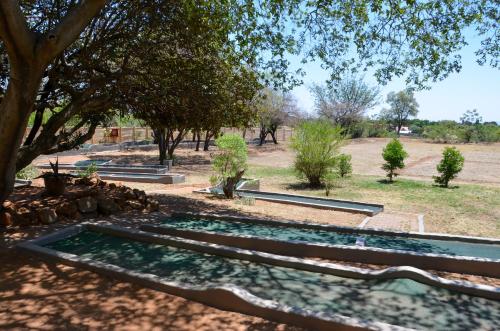 a garden with trees and a pond in a park at Safari Hotel & Convention Centre in Rustenburg