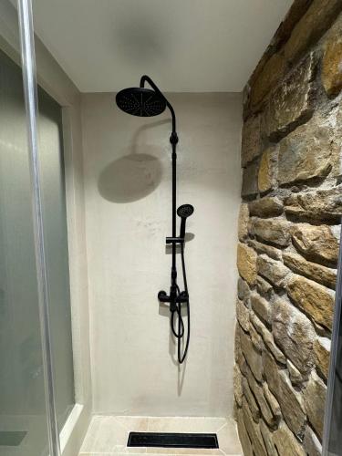 a shower in a bathroom with a stone wall at Άνδηρο in Synikia Mesi Trikalon