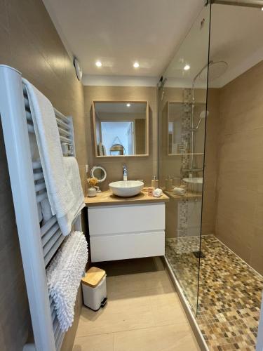une salle de bain avec un lavabo et une douche dans l'établissement Duplex en bord de mer avec piscine et parking, à Cannes