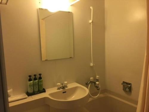 a bathroom with a sink and a mirror and a tub at Garden Hotel Matsumoto in Matsumoto