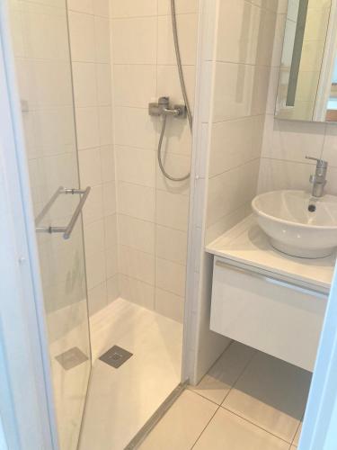 une salle de bain avec douche et lavabo dans l'établissement SAIT CYPRIEN VUE MER résidence avec piscine, à Saint-Cyprien