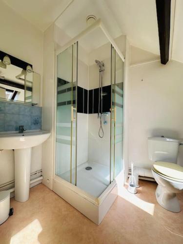 une salle de bain avec une douche, un lavabo et des toilettes dans l'établissement Morgan' Appartement, à Laon