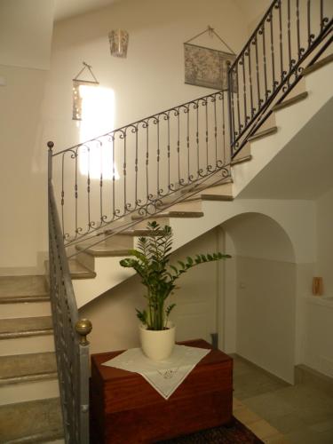 Φωτογραφία από το άλμπουμ του Guest House Cifrino σε Giffoni Sei Casali