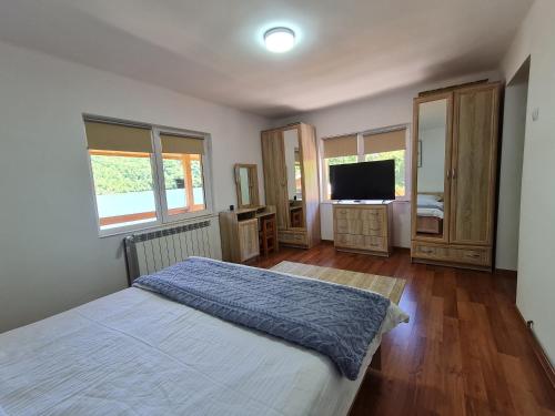 een slaapkamer met een bed en een flatscreen-tv bij Georgia Bahna in Orşova