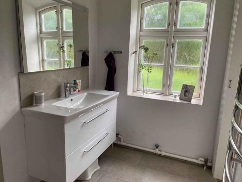 uma casa de banho branca com um lavatório e um espelho em Country Idyll With Wilderness Bath And Sauna, em Haderslev