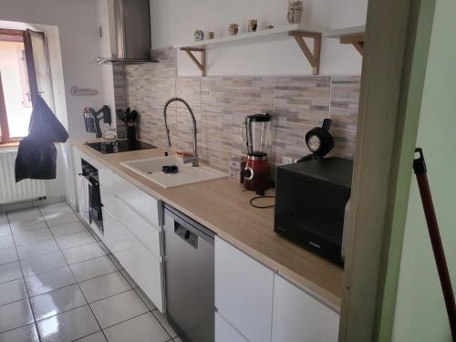 une cuisine avec un comptoir avec un évier et un micro-ondes dans l'établissement Jolie f4 au cœur de rouffach, à Rouffach