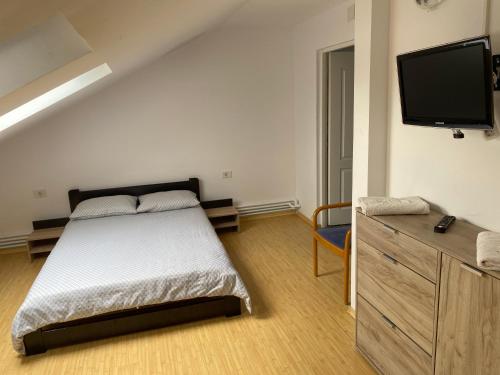 een slaapkamer met een bed en een flatscreen-tv bij Casa Erika in Sebeş